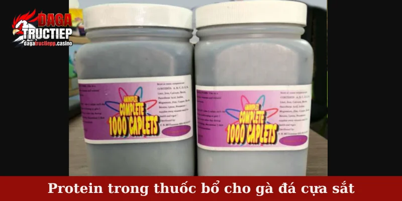 Thuốc bổ cho gà đá cựa sắt - Tổng hợp thuốc phổ biến nhất 3 Protein trong thuốc bổ cho gà đá cựa sắt