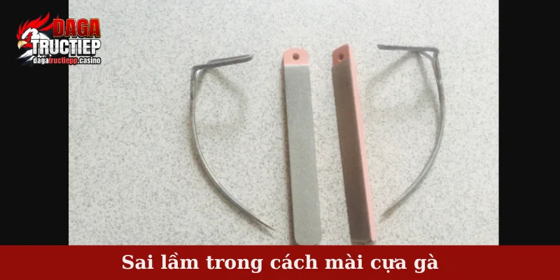 Cách Mài Cựa Gà Chuẩn – Bí Quyết Lên Lực Đòn Hiểm 4 Sai lầm trong cách mài cựa gà