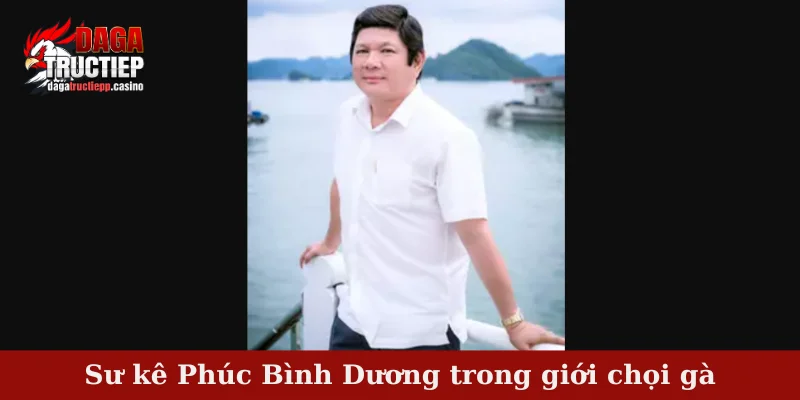 Sư Kê Phúc Bình Dương – Tên Tuổi Gắn Liền Các Trận Gà Tiền Tỷ 2 Sư kê Phúc Bình Dương trong giới chọi gà