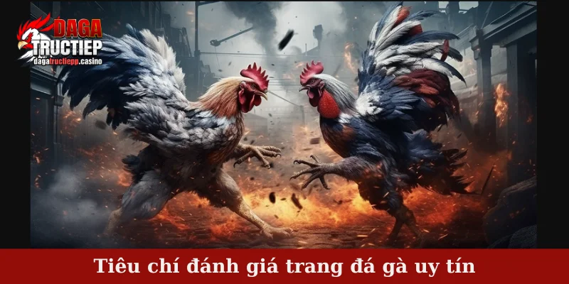 Top 3 Trang Đá Gà Uy Tín Được Yêu Thích Nhất Tại Việt Nam 2 Tiêu chí đánh giá trang đá gà uy tín